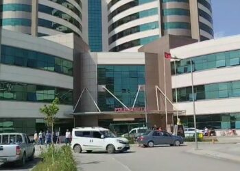 Köpeğin saldırdığı 2 yaşındaki Hasan ağır yaralandı