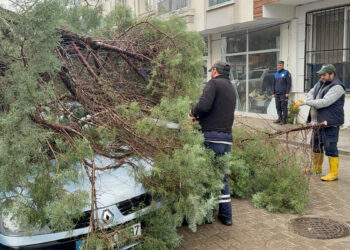 Manisa'da kuvvetli rüzgar; 1 yaralı
