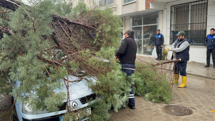 Manisa'da kuvvetli rüzgar; 1 yaralı