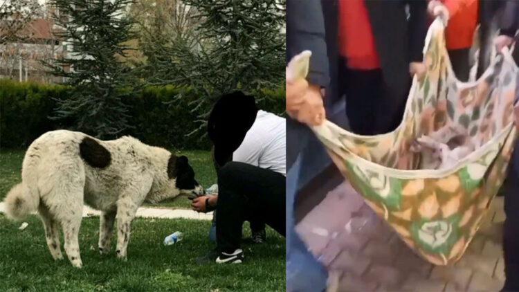 'Matmazel'in darbedilerek öldürüldüğü iddiasına soruşturma