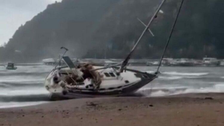 Marmaris’te fırtına; ağaçlar devrildi, yelkenli tekne karaya oturdu