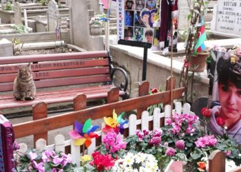 Matia Ahmet Minguzzi mezarı başında anıldı; Atlas'ın ailesi de katıldı