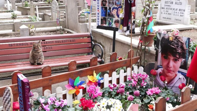 Matia Ahmet Minguzzi mezarı başında anıldı; Atlas'ın ailesi de katıldı