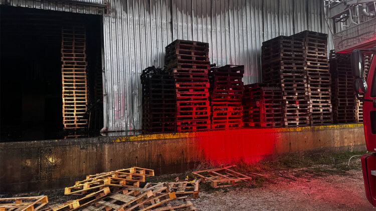 Mersin'de narenciye paketleme tesisinde yangın