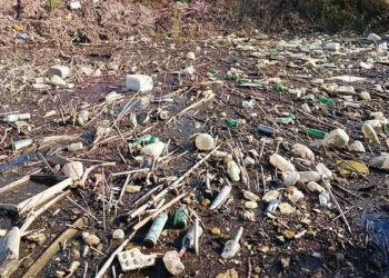 Büyük Menderes ve Gediz Nehri'nde kirlilik başladı