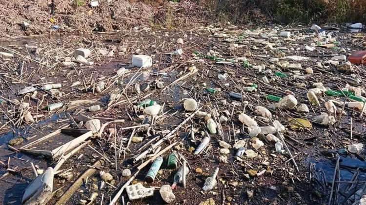 Büyük Menderes ve Gediz Nehri'nde kirlilik başladı