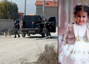 Rana'nın köpek saldırısında ölümüne ilişkin flaş karar