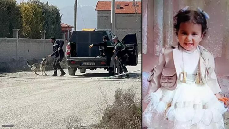 Rana'nın köpek saldırısında ölümüne ilişkin flaş karar