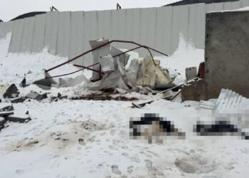 Siirt'te kar yağışı nedeniyle 3 ahırın çatısı çöktü