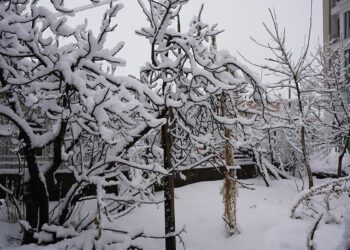 Şırnak'ta kar yağışı