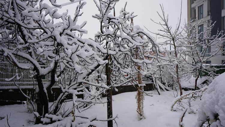 Şırnak'ta kar yağışı
