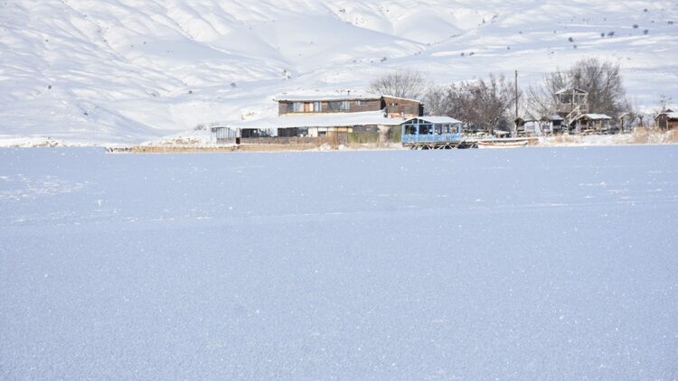 Sivas'ın en büyük gölü Tödürge, buz tuttu