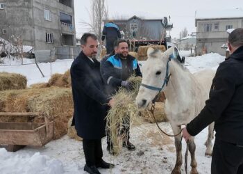 Sokağa terkedilen hayvanlara sahip çıkan besiciye yem desteği