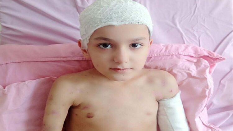 Sokak köpeklerinin saldırdığı Tunahan'ın ailesine, 5 milyon TL tazminat ödenecek