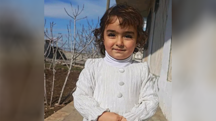 Sokak köpeklerinin saldırısına uğrayan Nazlı, ağır yaralandı