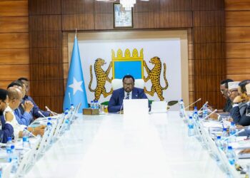 Somali, BAE ile güvenlik ve savunma alanındaki tüm anlaşmaları feshetti