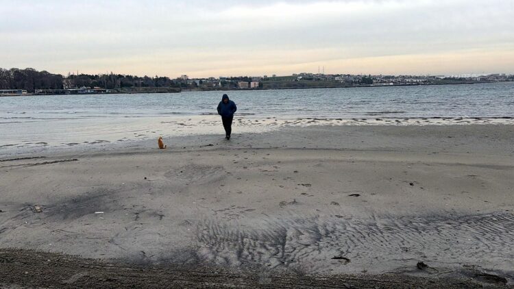 Tekirdağ'da deniz 50 metre çekildi