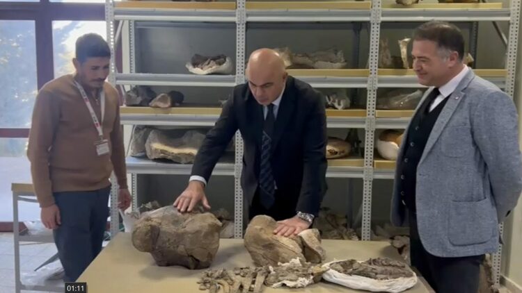 Tuzluca'da bulunan 30 milyon yıllık dev gergedan fosili, MTA Tabiat Tarihi Müzesi’nde