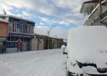 Van'da 405 yerleşim yerinin yolu ulaşıma kapandı