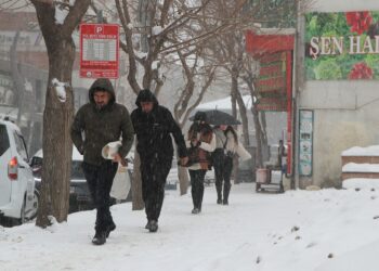 Van'da 625 yerleşim yeri ulaşıma kapandı