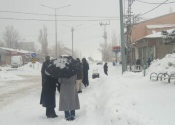 Van'da 90 yerleşim yerinin yolu kardan kapandı