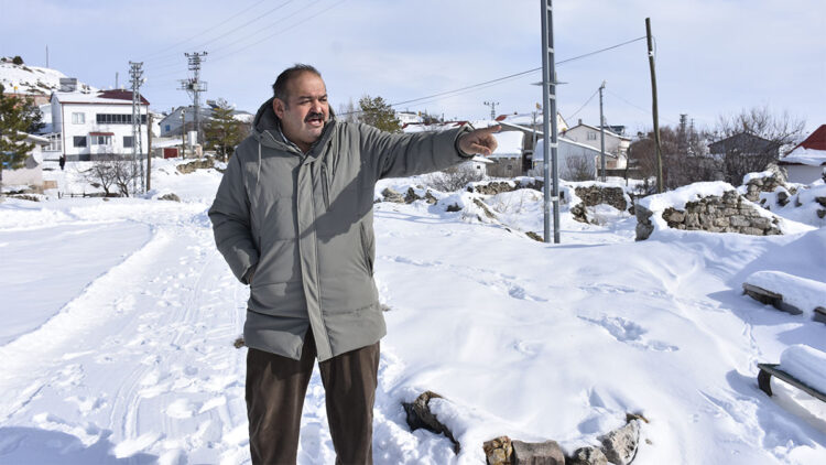 Yaban hayvanları, köpeksiz köyü mesken tuttu