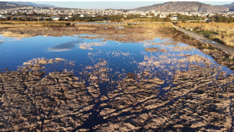 Yağışlarla birlikte suyla dolan Milleyha Kuş Cenneti dron ile görüntülendi