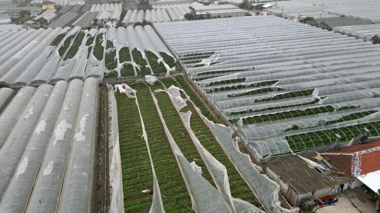 Yağmur ve hortum, sebze-meyveyi vurdu