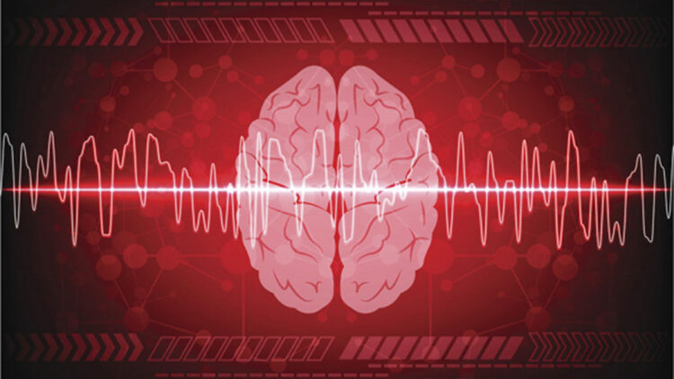 Ölüm anında beyin aktivitesi ilk kez görüntülendi