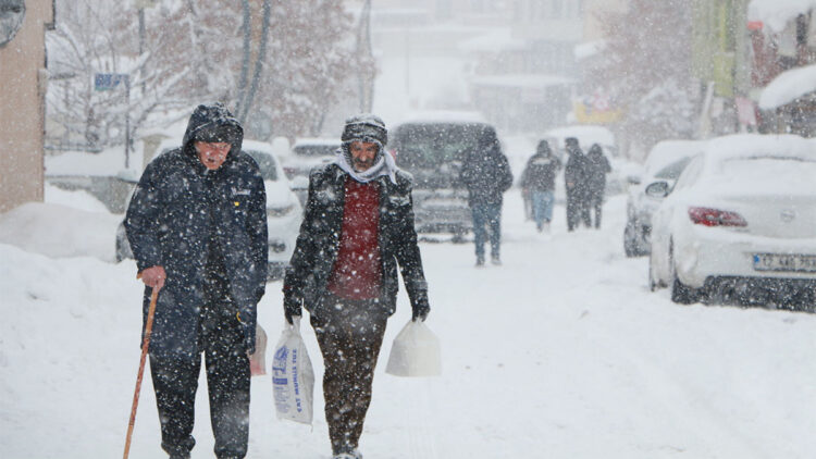 Bingöl'de kar yağışı; 226 yerleşim yerinin yolu kardan kapandı