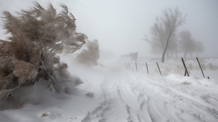 Kristin Fırtınası 5 can aldı; Eğitime ara verildi