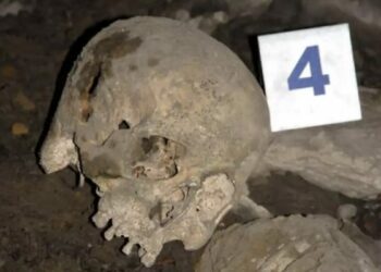 18 yıl önce işlenen cinayette 2 kişi tutuklandı