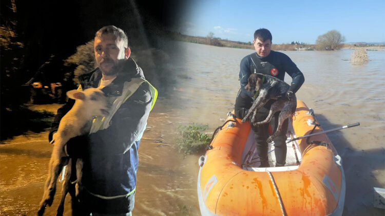 İzmir'de umut dolu anlar