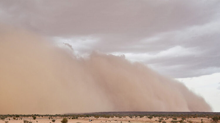 ABD'de kum fırtınası: 4 ölü, 29 yaralı