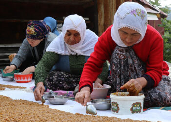 Asırlık kış lezzeti; keş tatlısı sofralara geliyor