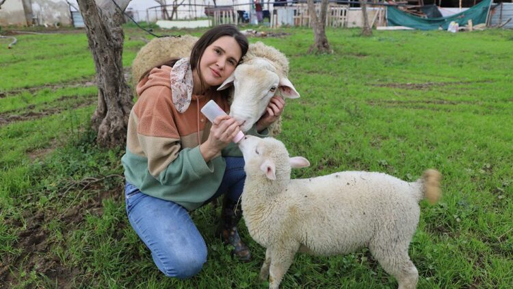 Acil serviste hastalara, çiftlikte hayvanlara şifa dağıtıyor
