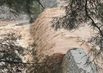 Aydın'da dere taştı; 9 ev tedbir amaçlı tahliye edildi