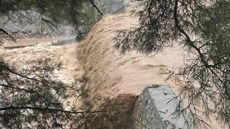 Aydın'da dere taştı; 9 ev tedbir amaçlı tahliye edildi