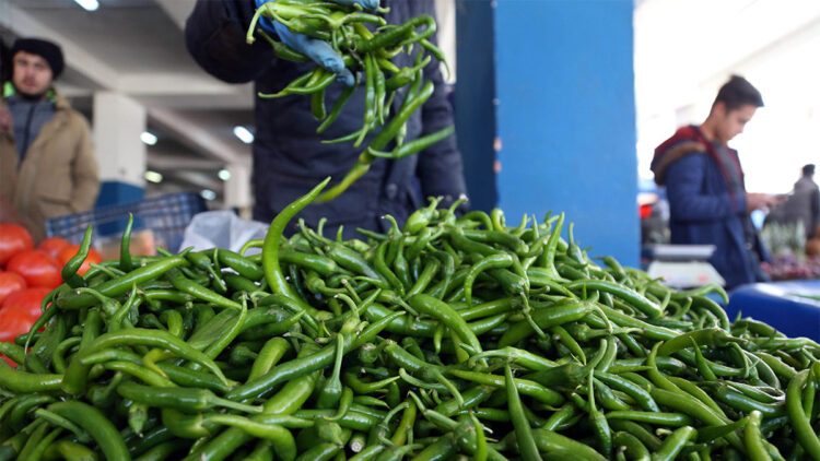 Biber ocak ayında ihracat şampiyonu oldu