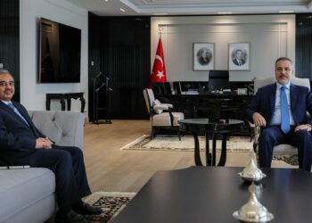 Bakan Fidan, D-8 Genel Sekreteri Büyükelçi Mahmood ile görüştü
