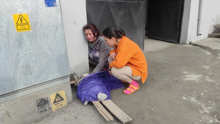 Beyoğlu'nda yangın sırasında dairede mahsur kalan kedi için zamanla yarış