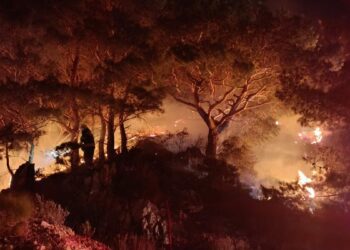 Bodrum'un Dirmil Mahallesi'nde orman yangını