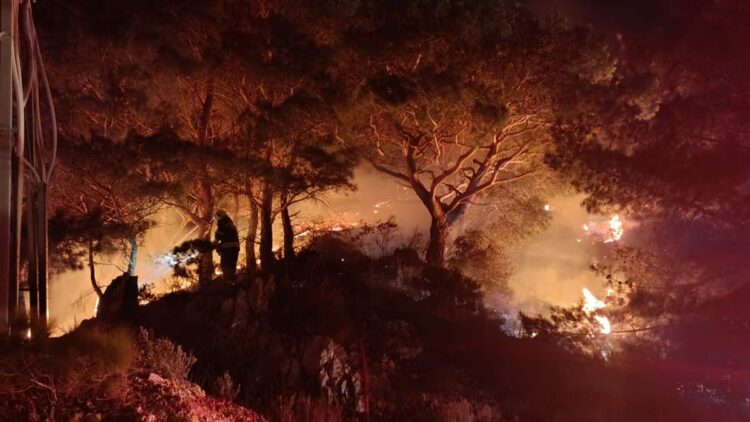 Bodrum'un Dirmil Mahallesi'nde orman yangını