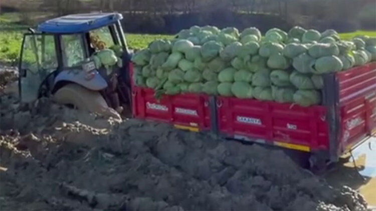 Sakarya'da çiftçinin traktörü çamura saplandı