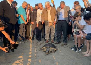 Caretta caretta Cumhuriyet'i 10 bin kişi izledi