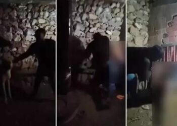 Çocuğa ahırda şiddet uygulayan şüpheli, yeniden gözaltında