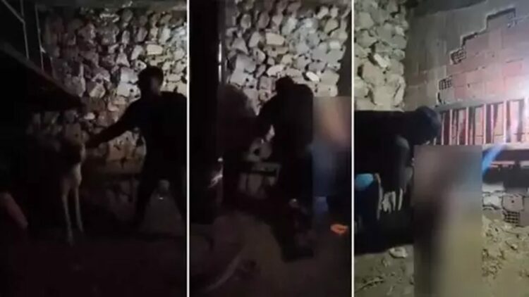 Çocuğa ahırda şiddet uygulayan şüpheli, yeniden gözaltında