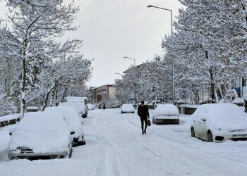 Erzurum'da kar yağışı; 775 mahalle yolu kapandı