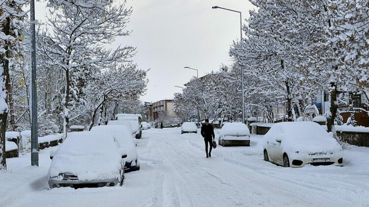 Erzurum'da kar yağışı; 775 mahalle yolu kapandı