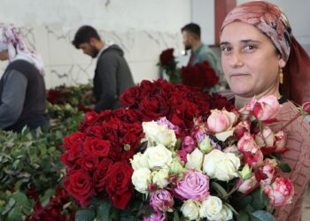 Eşi ile sevgililere rengarenk güller yetiştirdi